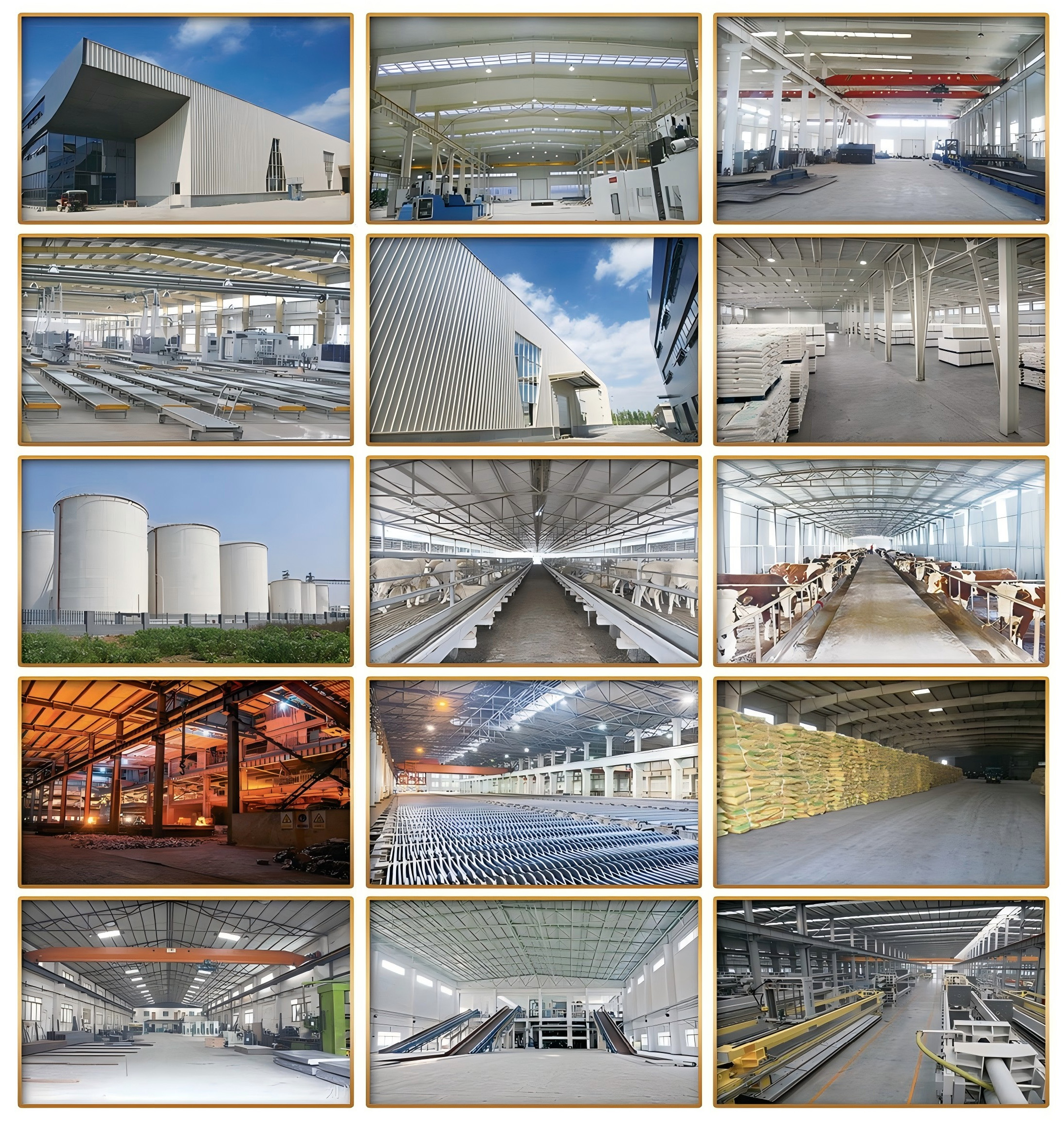 金立盛新材料(已优化)_页面_09_图像_0001