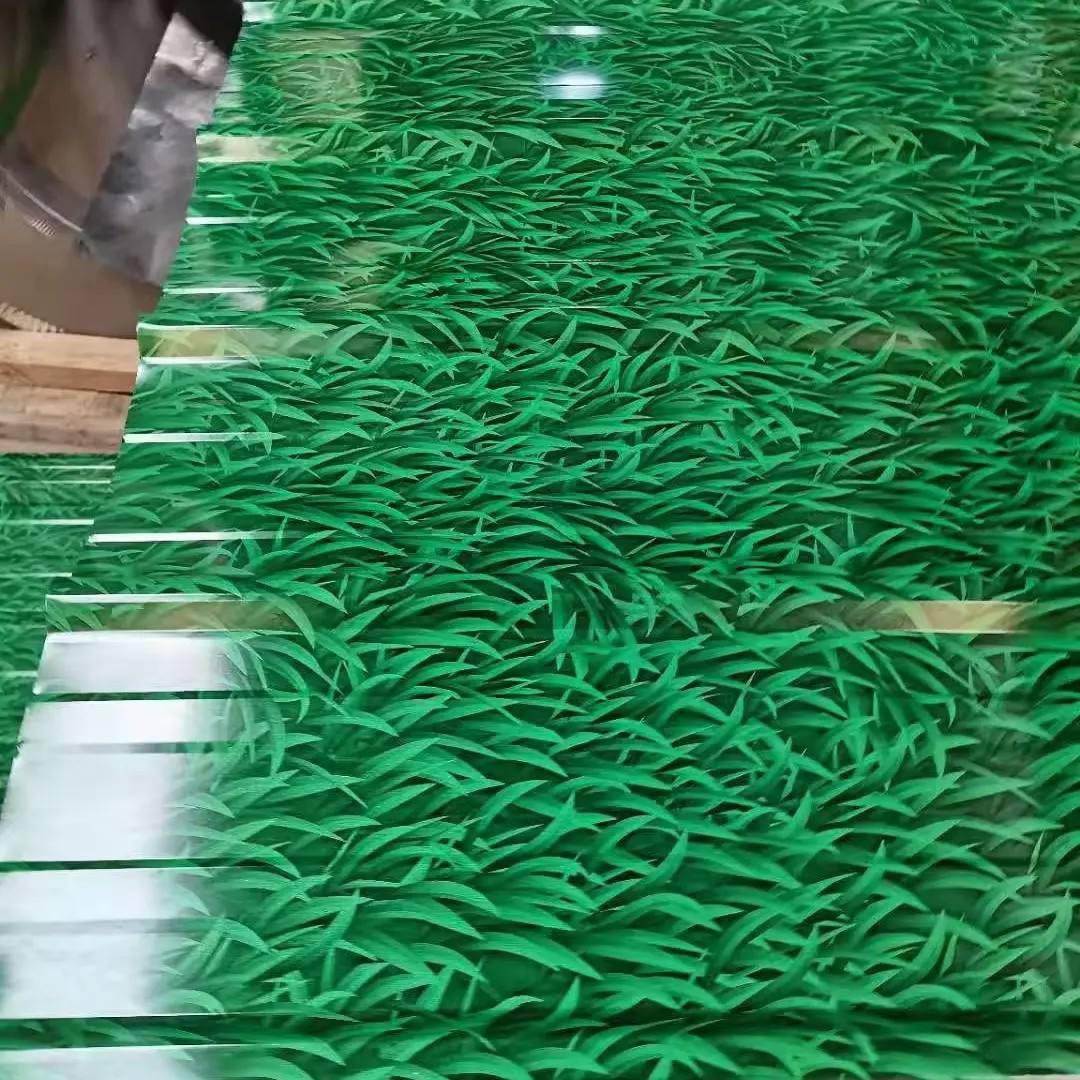 Grass Green PPGI Roofing Sheet | RAL Color | Pre-Painted Steel | Jinlisheng