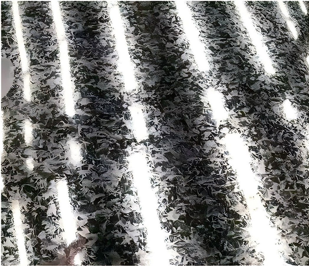 Civilian Galvanized Sheet | Appliance Grade | Washing Machine, Refrigerator | Jinlisheng